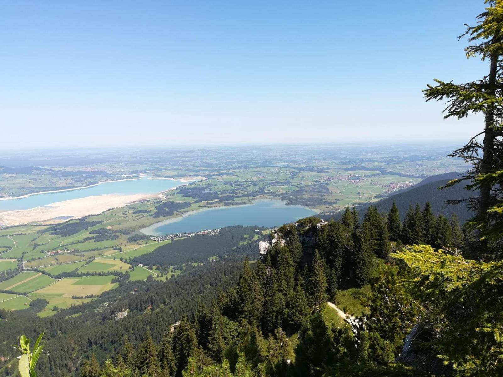 Alpenrose Appartements Nesselwang Zewnętrze zdjęcie