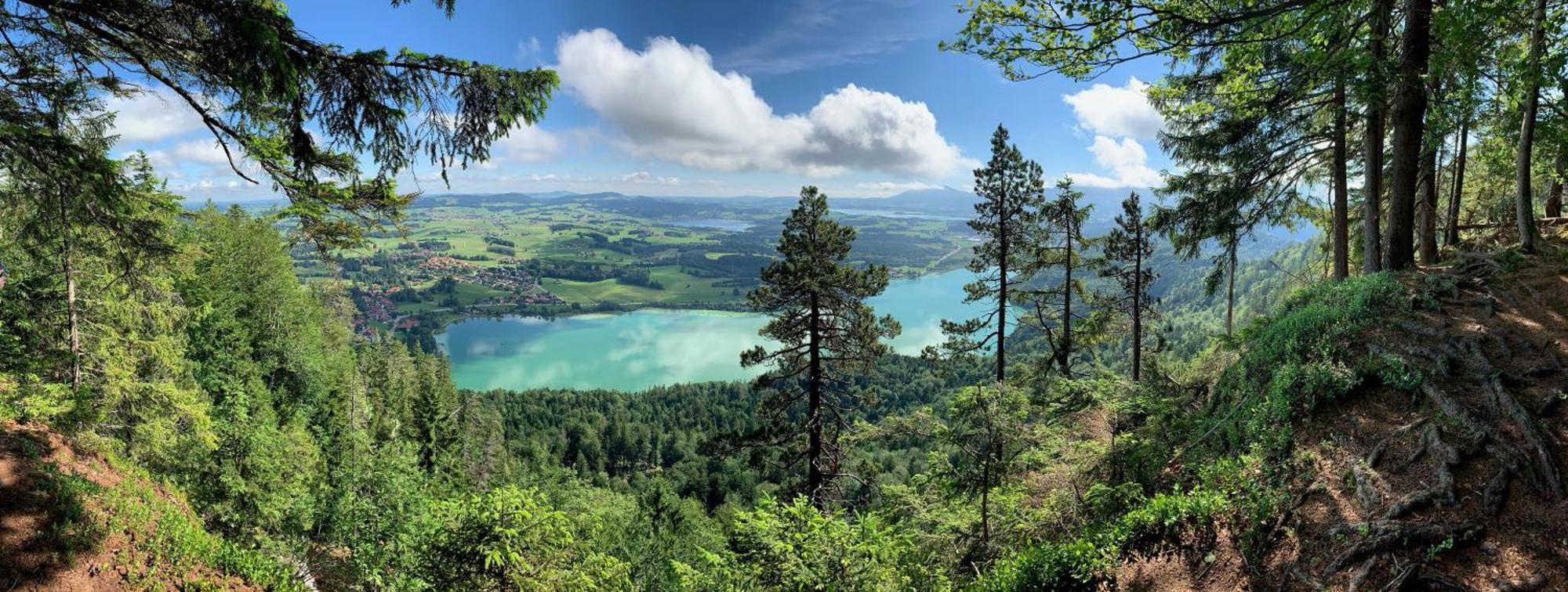 Alpenrose Appartements Nesselwang Zewnętrze zdjęcie